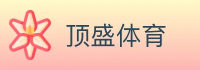 顶盛体育 logo